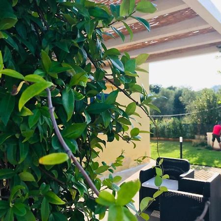 Maison Chopin & Brahms Haus Vieste Dış mekan fotoğraf